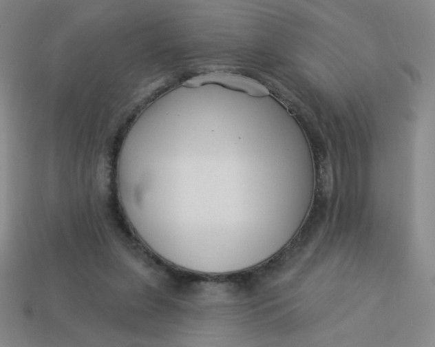 X0000113530255200910091229