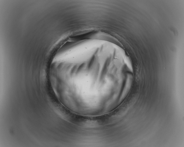 X0000113530256200910091229