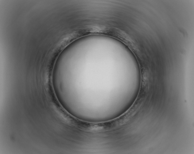 X0000113530257200910091229