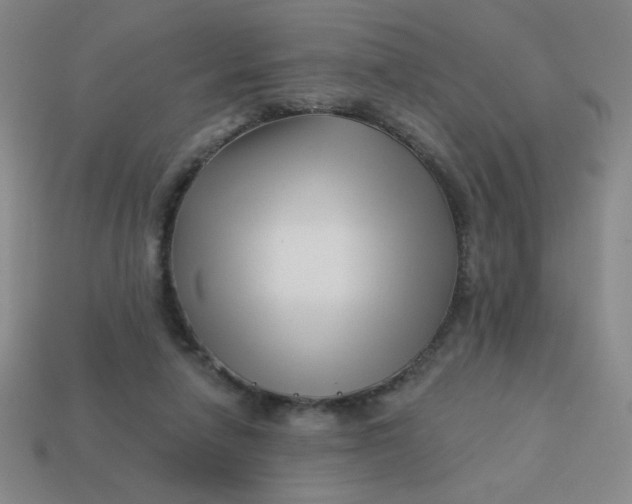 X0000113530258200910091229