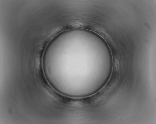 X0000113530259200910091229