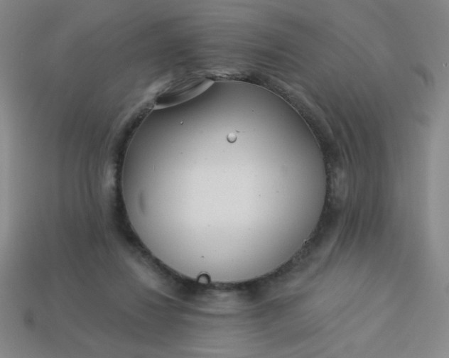 X0000113530260200910091229