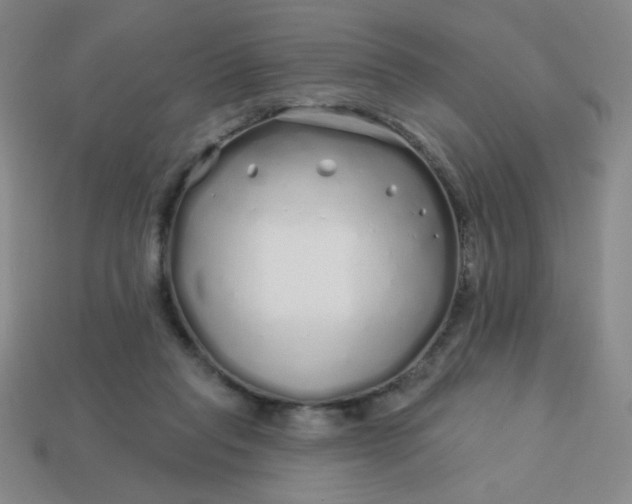 X0000113530261200910091229