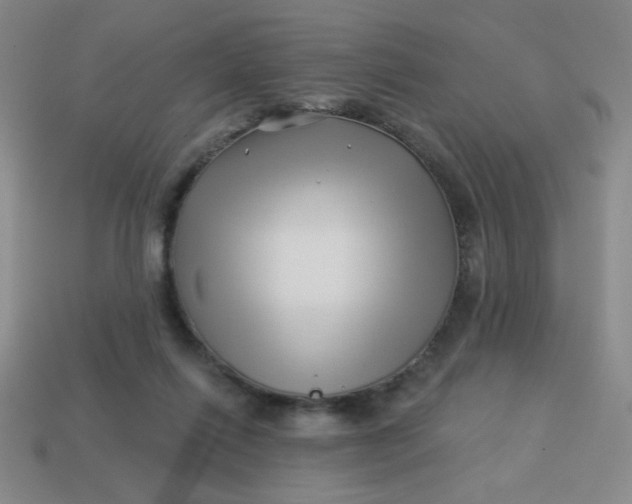 X0000113530262200910091229