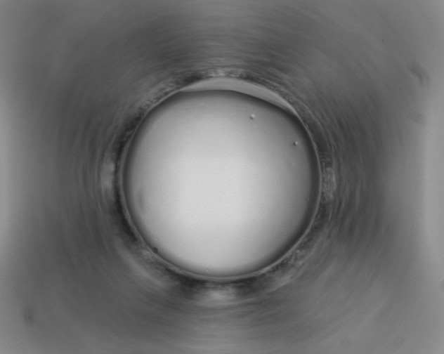 X0000113530263200910091229