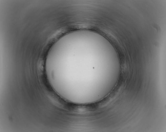 X0000113530264200910091229