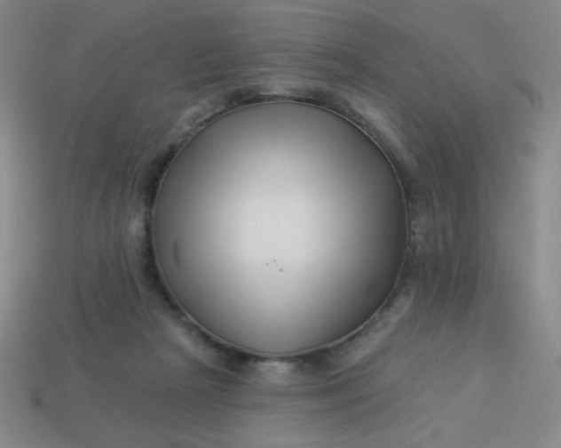 X0000113530265200910091229