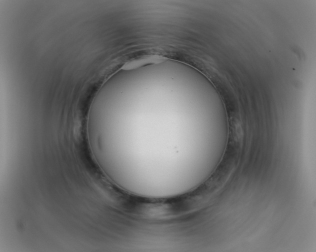 X0000113530266200910091229