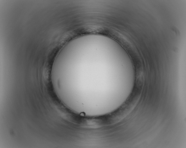 X0000113530268200910091229