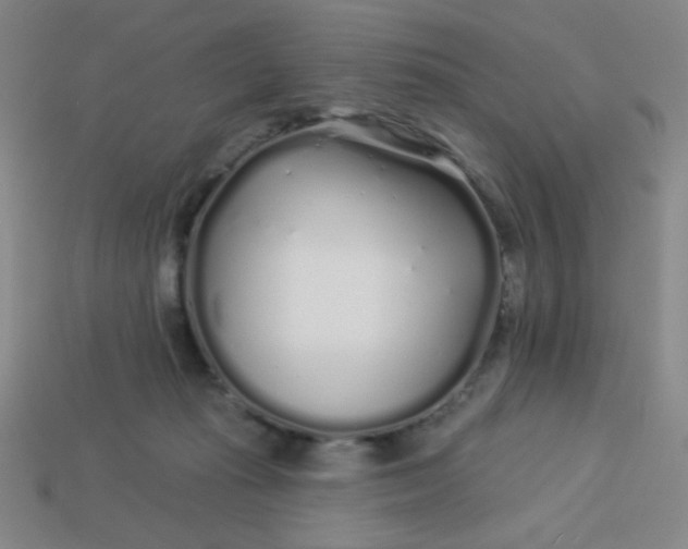 X0000113530269200910091229