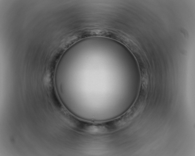 X0000113530270200910091229