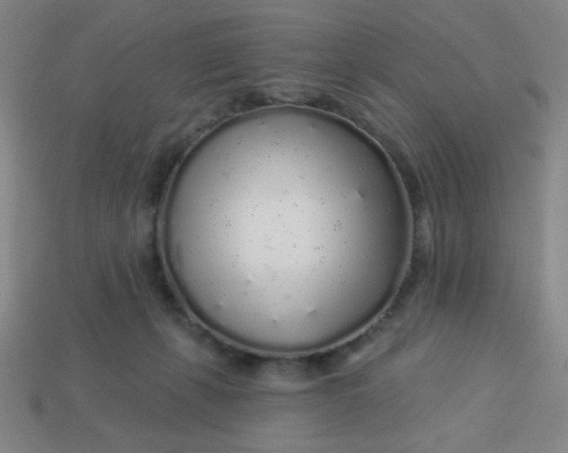 X0000113530271200910091229