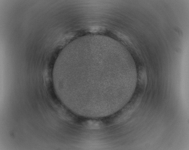 X0000113530272200910091229