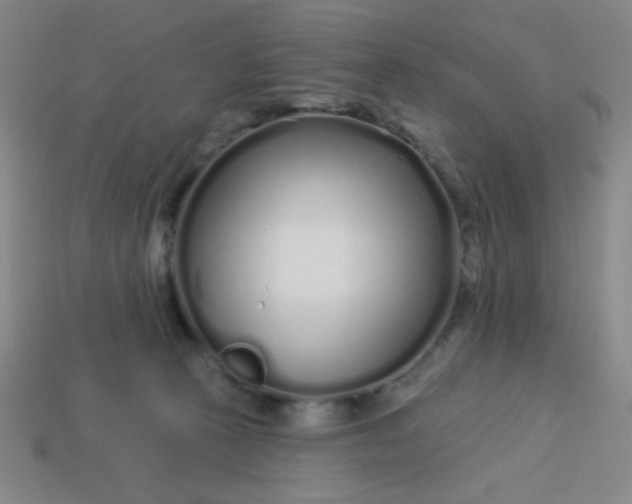 X0000113530273200910091229