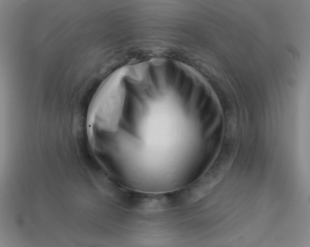 X0000113530274200910091229