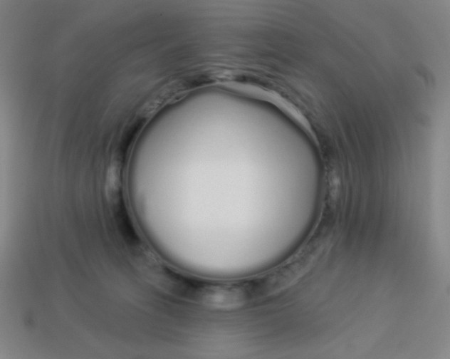 X0000113530275200910091229