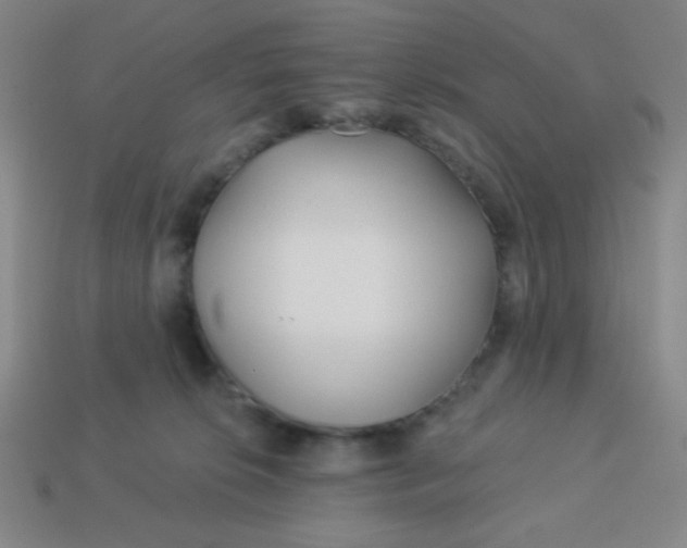 X0000113530276200910091229