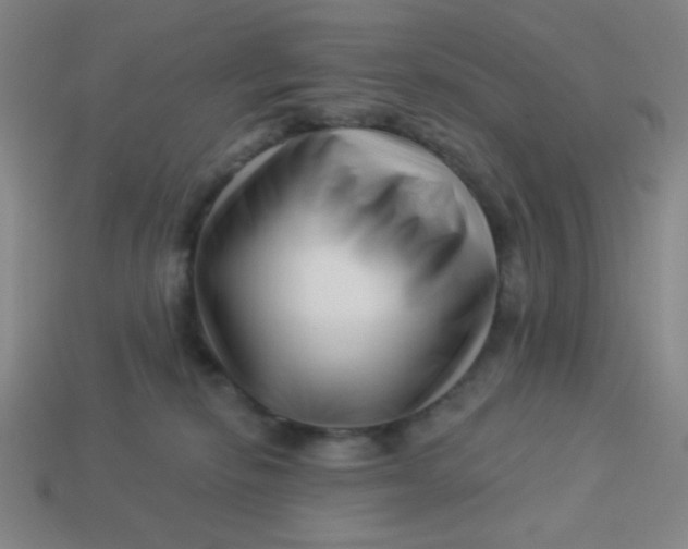 X0000113530278200910091229