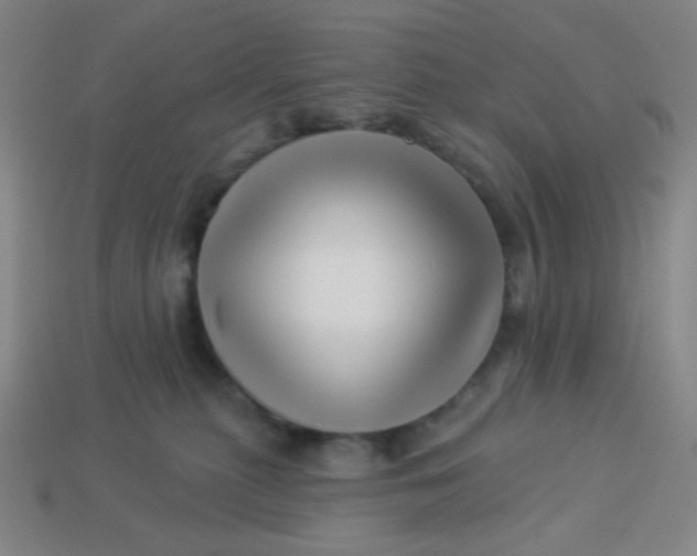 X0000113530279200910091229