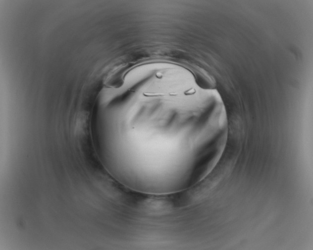 X0000113530280200910091229