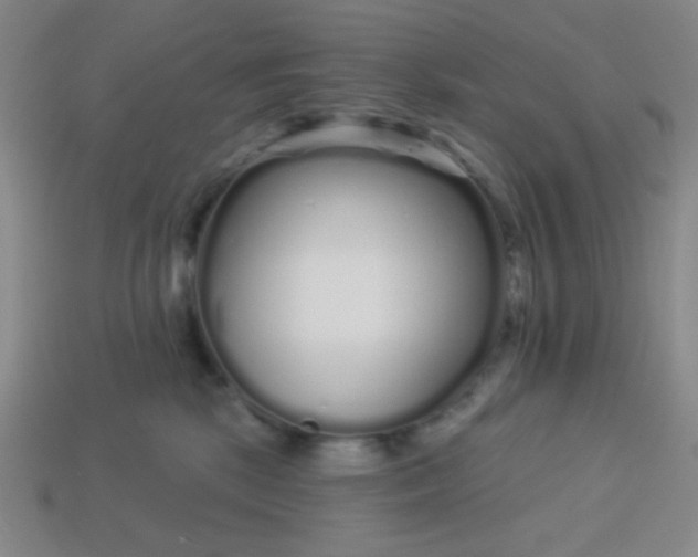 X0000113530281200910091229