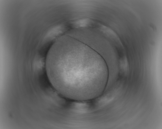 X0000113530284200910091229