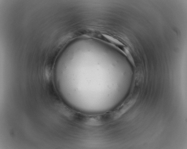 X0000113530285200910091229