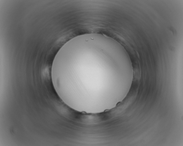 X0000113530286200910091229