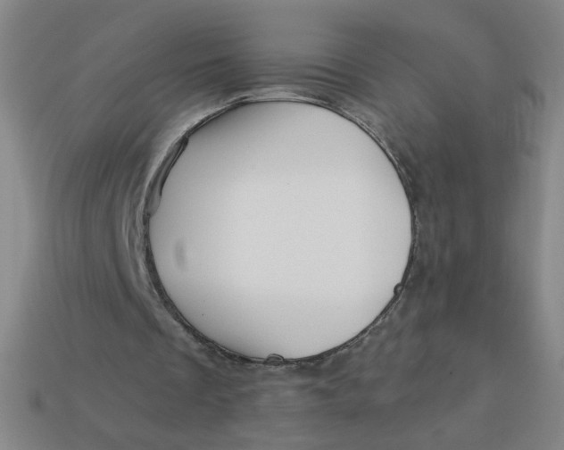 X0000113530289200910091228