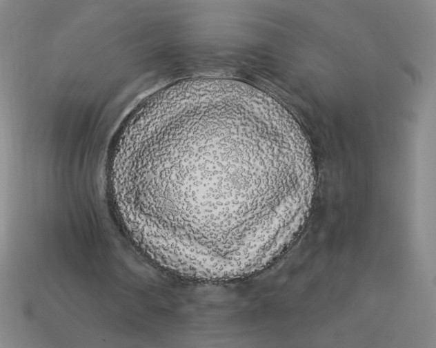 X0000113530290200910091228