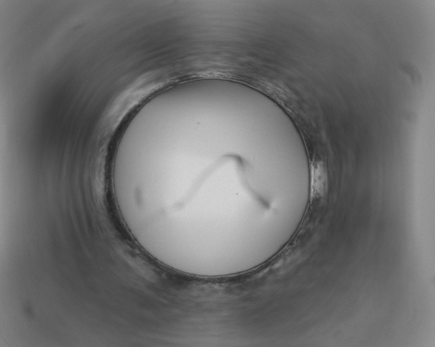 X0000113530291200910091228