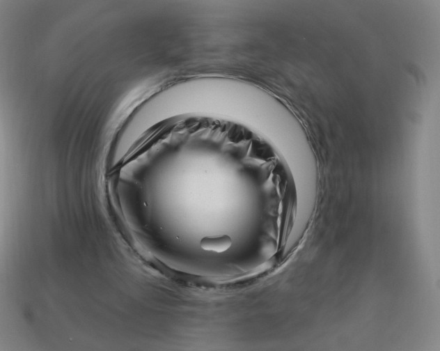 X0000113530293200910091228