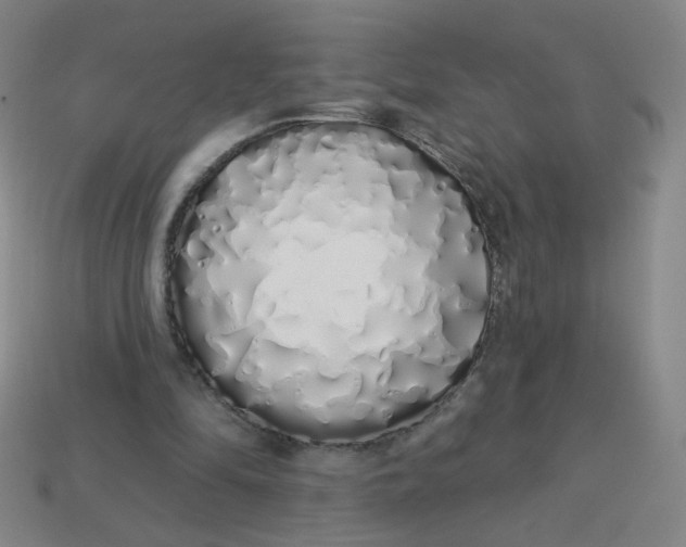 X0000113530294200910091228