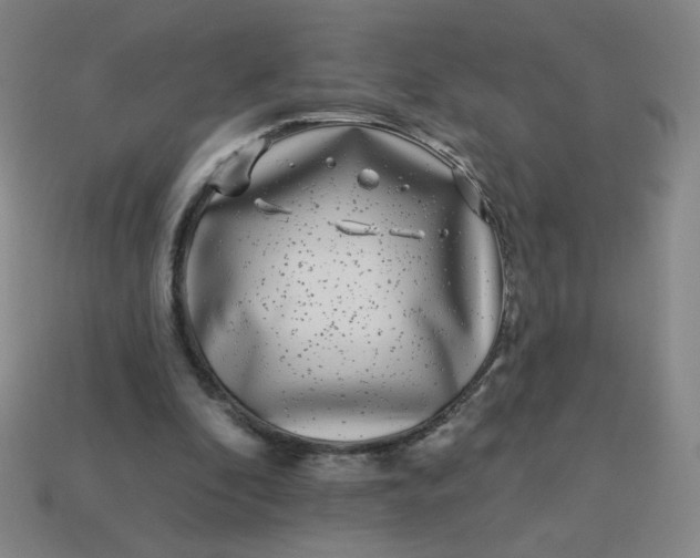 X0000113530296200910091228