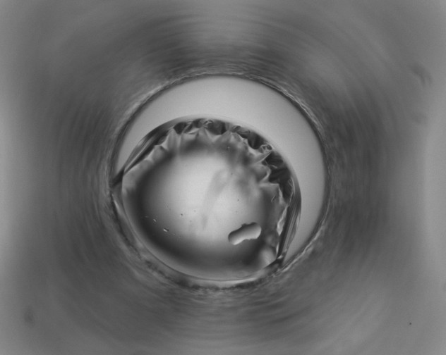 X0000113530297200910091228