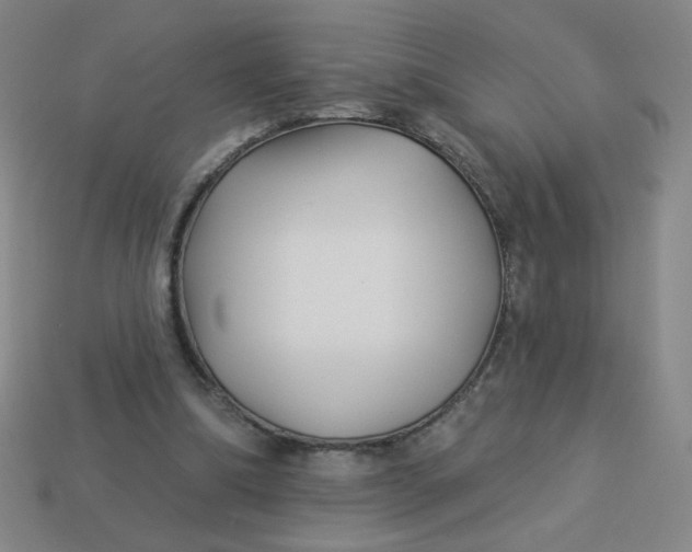 X0000113530298200910091228