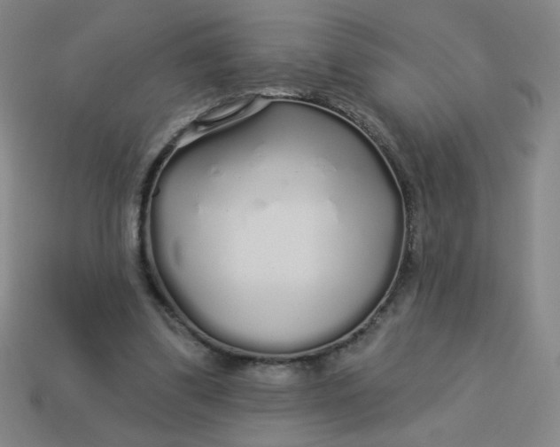 X0000113530299200910091228