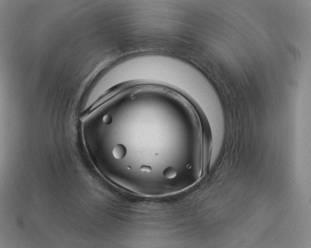 X0000113530300200910091228