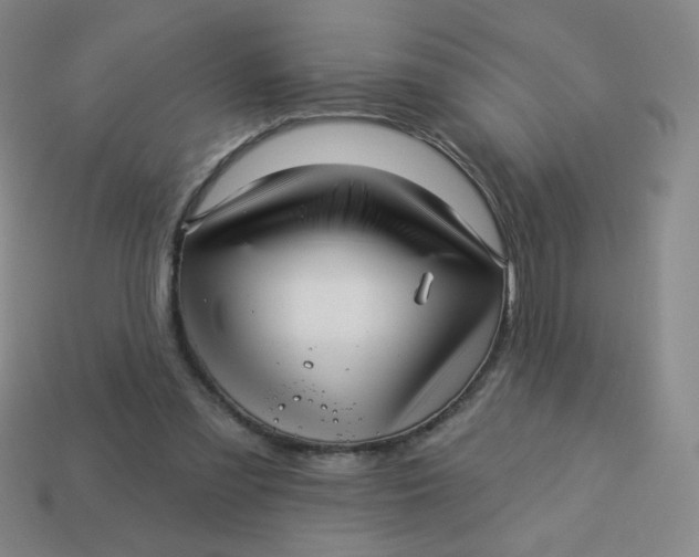 X0000113530301200910091228