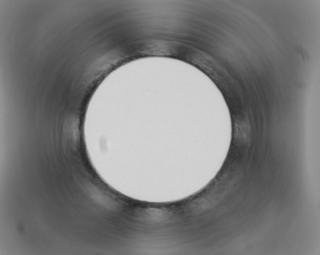 X0000113530302200910091228