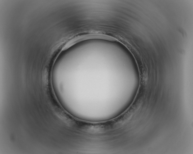 X0000113530303200910091228