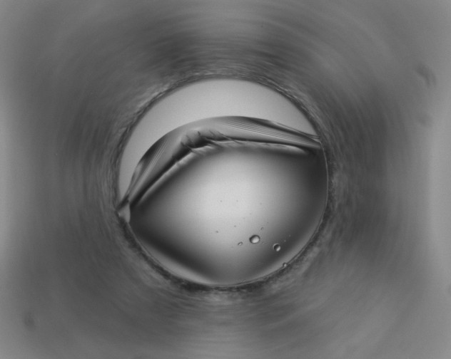 X0000113530305200910091228