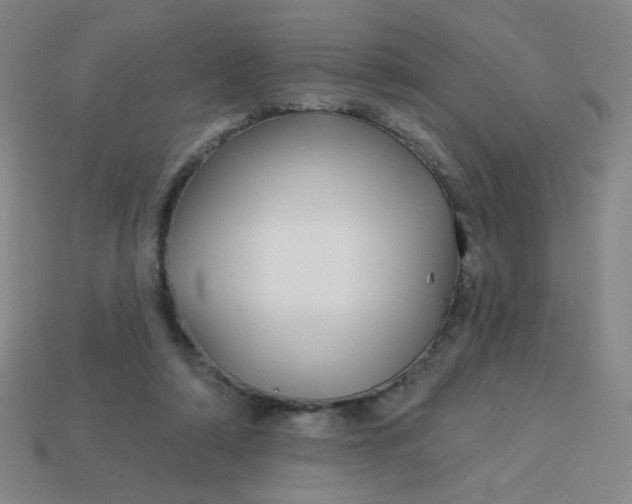 X0000113530306200910091228