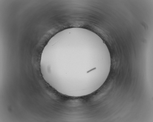 X0000113530307200910091228