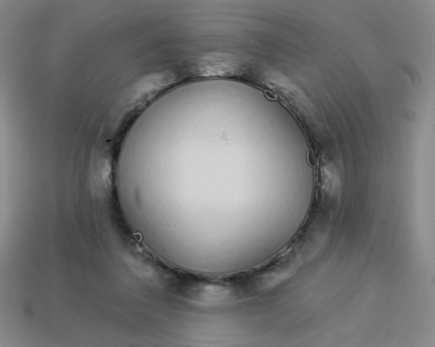 X0000113530308200910091228