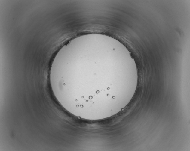 X0000113530309200910091228