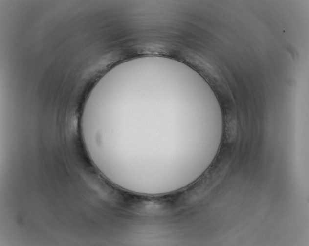 X0000113530310200910091228