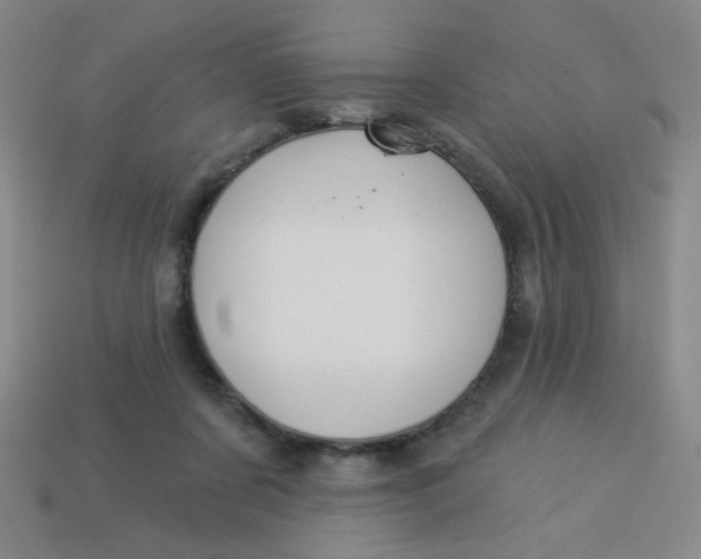 X0000113530311200910091228