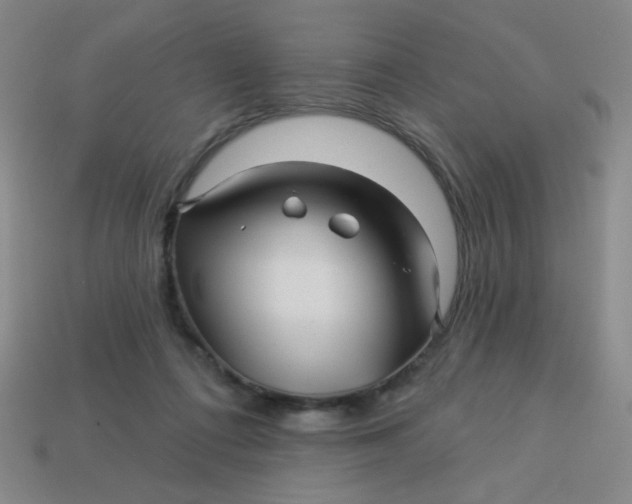 X0000113530312200910091228