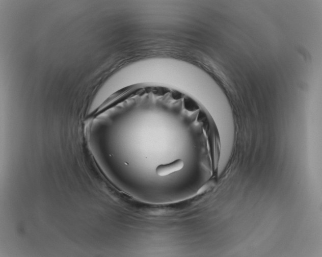 X0000113530313200910091228